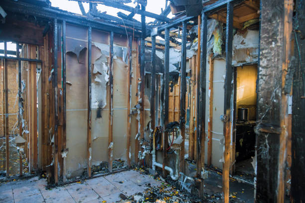 Professional Fire Damage Removal technician working in Forrest City, AR